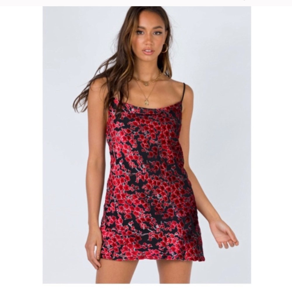 ‘Merlot’ Floral Velvet Mini Dress